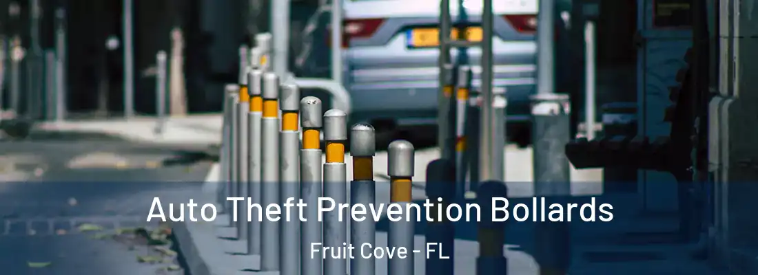 Auto Theft Prevention Bollards Fruit Cove - FL