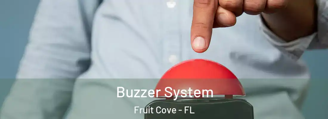Buzzer System Fruit Cove - FL