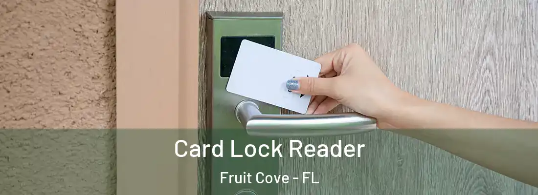Card Lock Reader Fruit Cove - FL