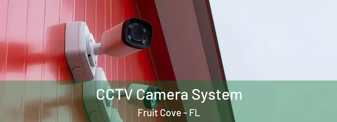 CCTV Camera System Fruit Cove - FL