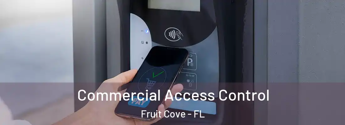 Commercial Access Control Fruit Cove - FL