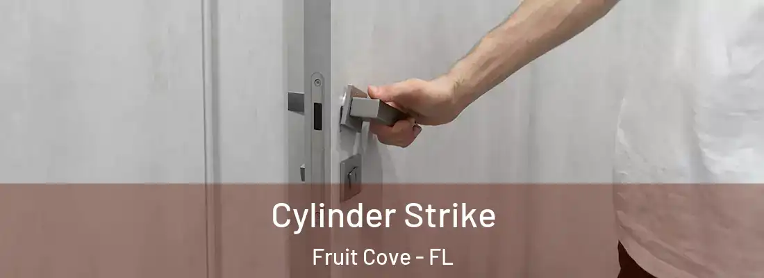 Cylinder Strike Fruit Cove - FL