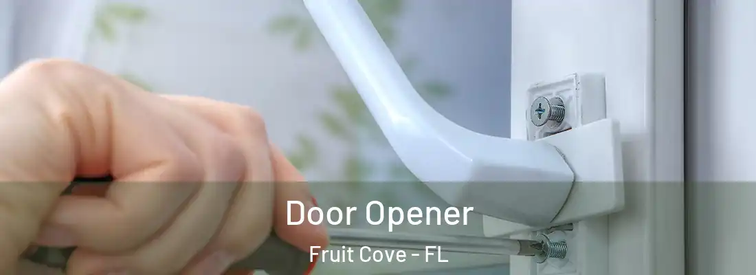 Door Opener Fruit Cove - FL