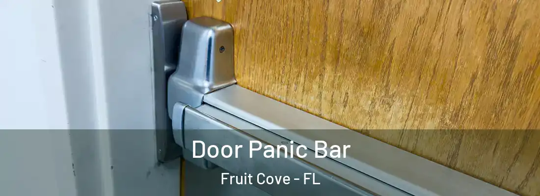 Door Panic Bar Fruit Cove - FL