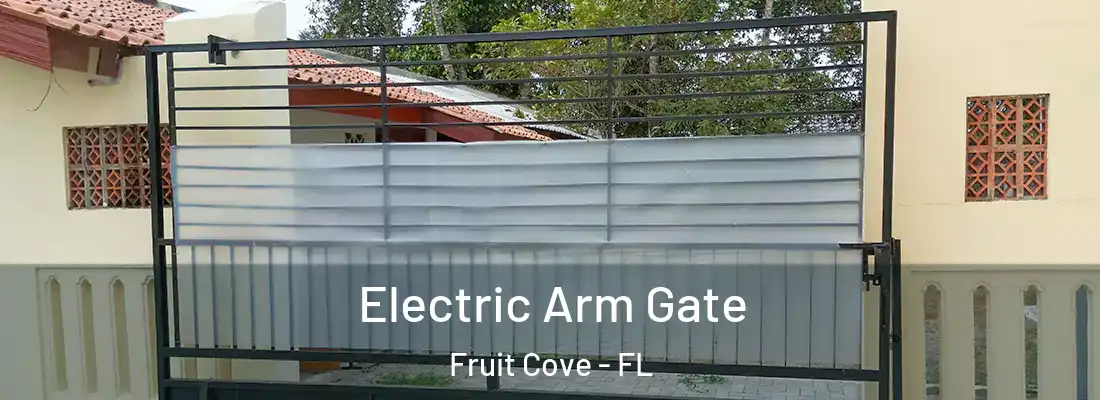 Electric Arm Gate Fruit Cove - FL