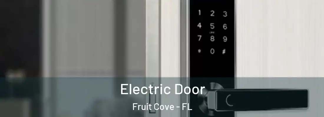 Electric Door Fruit Cove - FL