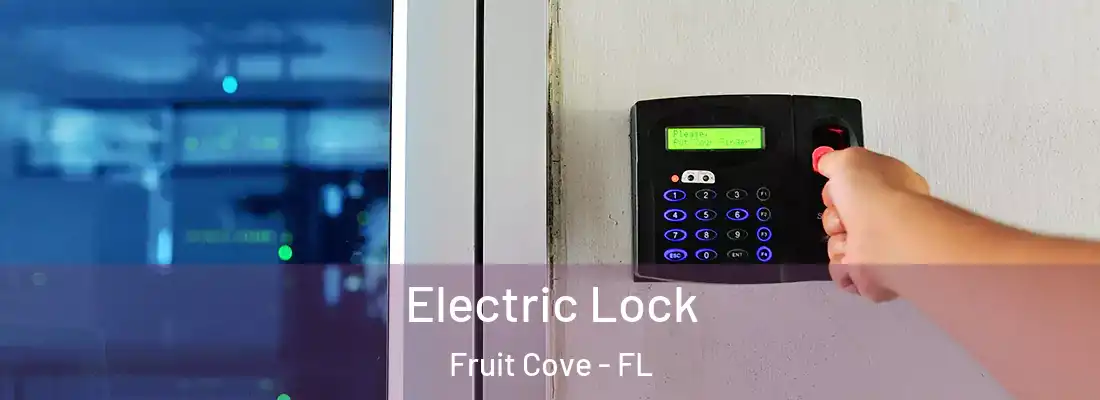 Electric Lock Fruit Cove - FL