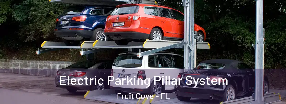 Electric Parking Pillar System Fruit Cove - FL