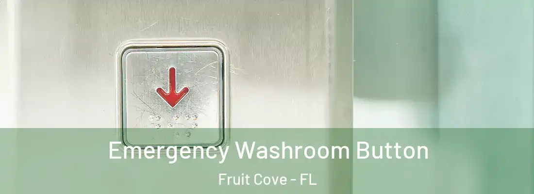Emergency Washroom Button Fruit Cove - FL