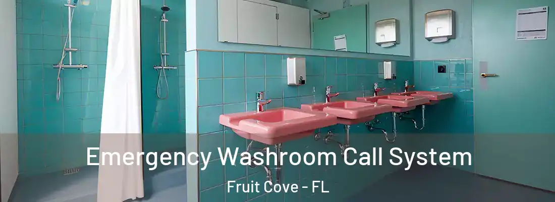 Emergency Washroom Call System Fruit Cove - FL