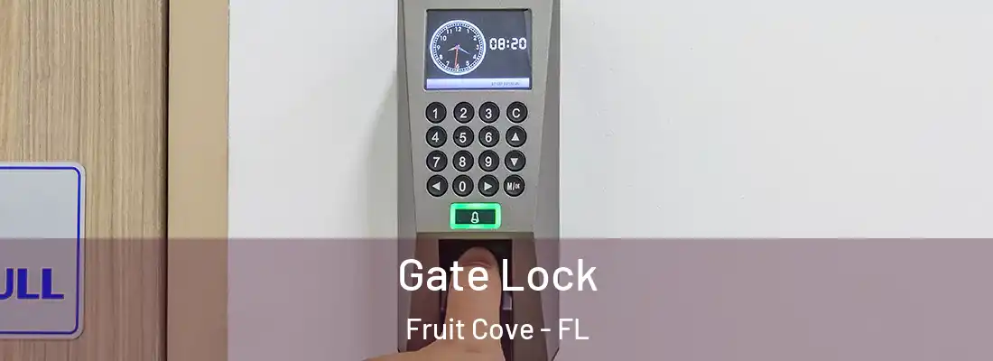 Gate Lock Fruit Cove - FL