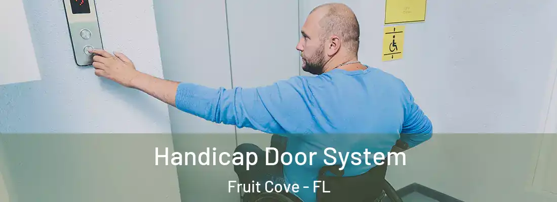 Handicap Door System Fruit Cove - FL