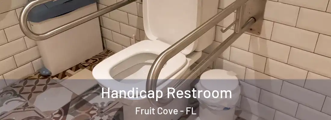 Handicap Restroom Fruit Cove - FL