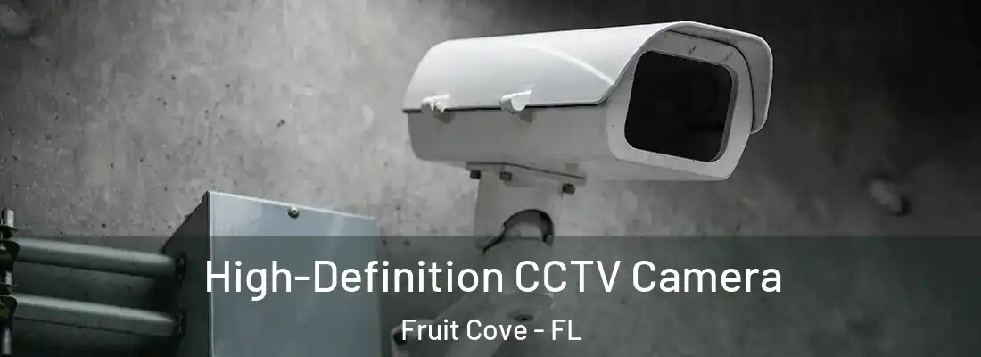 High-Definition CCTV Camera Fruit Cove - FL