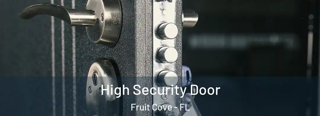 High Security Door Fruit Cove - FL