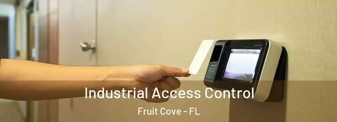 Industrial Access Control Fruit Cove - FL