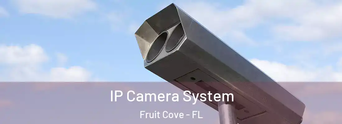 IP Camera System Fruit Cove - FL