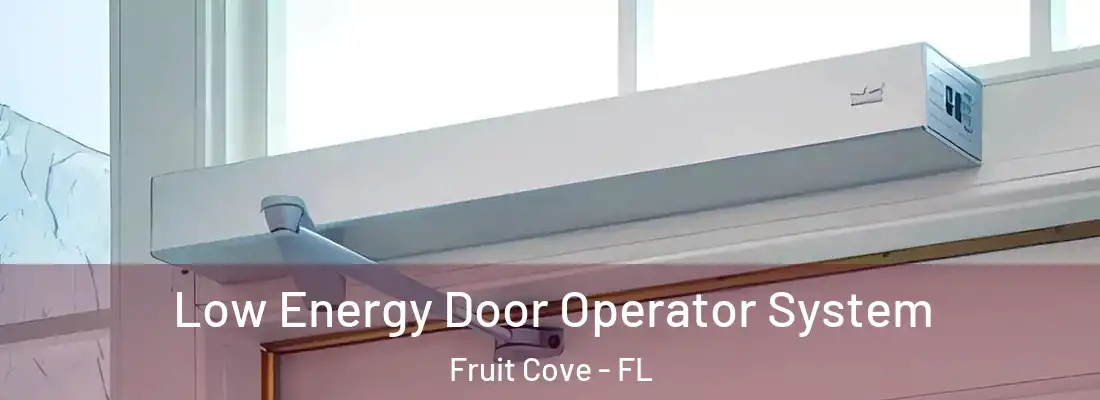 Low Energy Door Operator System Fruit Cove - FL