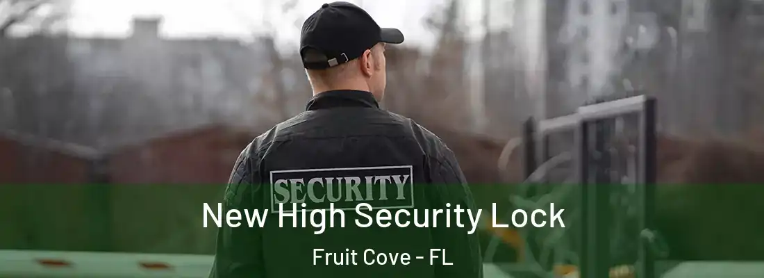 New High Security Lock Fruit Cove - FL