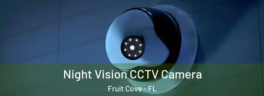 Night Vision CCTV Camera Fruit Cove - FL