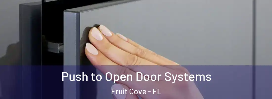 Push to Open Door Systems Fruit Cove - FL