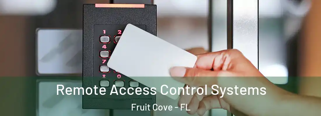 Remote Access Control Systems Fruit Cove - FL