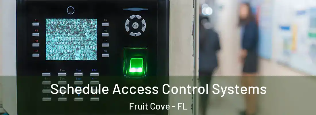 Schedule Access Control Systems Fruit Cove - FL