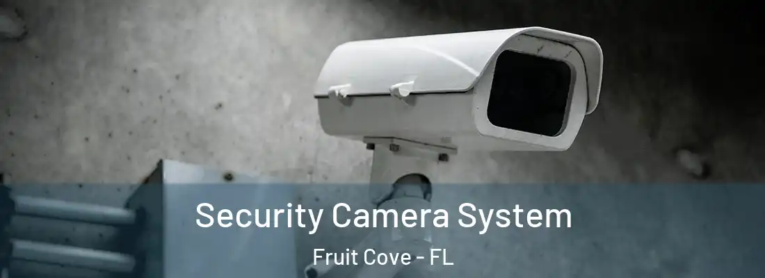 Security Camera System Fruit Cove - FL