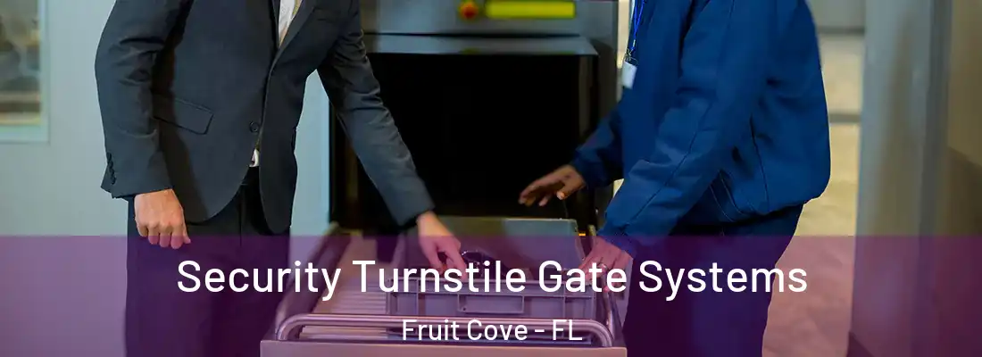 Security Turnstile Gate Systems Fruit Cove - FL